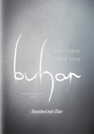 Poster Vanished Into Blue 2012