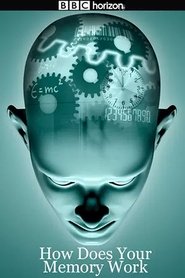 Poster How Does Your Memory Work 2008