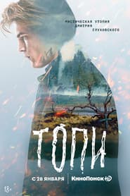 Топі постер