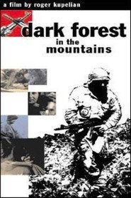 Dark Forest in the Moutains