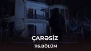 Episode 116