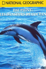 National Geographic : Dauphins, les danseurs de l'oc&eacute;an (2000)