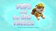 Pups and the Big Freeze