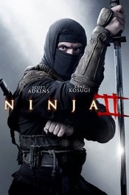 Poster for Ninja: Shadow of a Tear