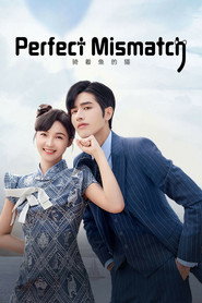 Perfect Mismatch poster