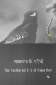 The Feathered Life of Rajasthan (1981)