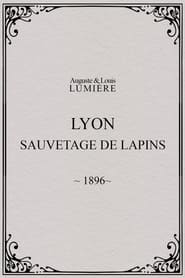 Lyon : sauvetage de lapins (1896)