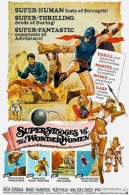 Super Stooges vs the Wonder Women постер