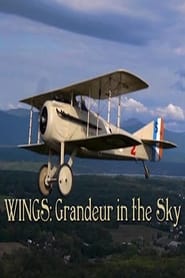 Wings: Grandeur in the Sky