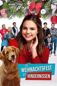 Ein⋆Weihnachtsfest⋆mit⋆Hindernissen⋆2016⋆Film⋆Kostenlos⋆Anschauen