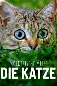 Poster Mörderische Mieze - Die Katze