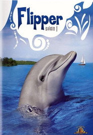 Flipper Season 1 1
