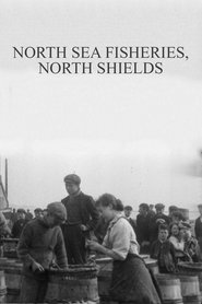 Poster North Sea Fisheries, North Shields 1901