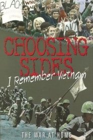 Poster Choosing Sides: I Remember Vietnam 2005