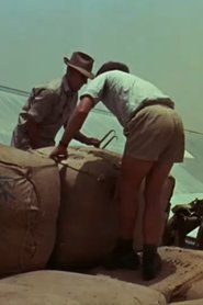 Men Of Capricorn (1965)