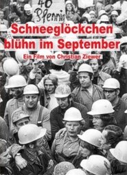 Poster Schneeglöckchen blühn im September