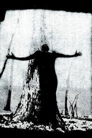 IIsandra In Ruin (2025)