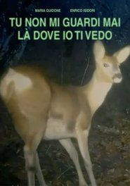 TU NON GUARDI MAI LÀ DOVE IO TI VEDO 2025 Безплатен неограничен достъп