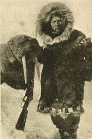 Poster Captain F.E. Kleinschmidt's Arctic Hunt 1914