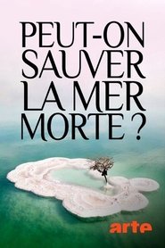 Peut-on sauver la mer Morte ?