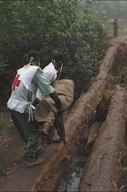 Kisangani Diary 1998 Acces nelimitat gratuit
