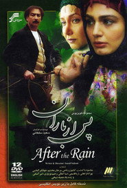 پس از باران