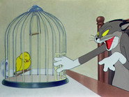 The Cagey Canary