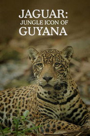 Jaguar: Jungle Icon of Guyana