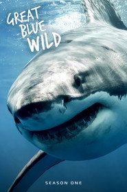 Great Blue Wild постер