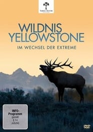 Wildnis Yellowstone - Im Wechsel der Extreme poster