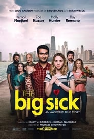 The Big Sick 2017 Stream Bluray