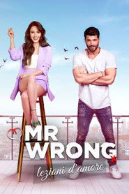 Mr. Wrong - Lezioni d'amore