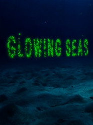 Glowing Seas - Diving at Hatshepsut's Harbour