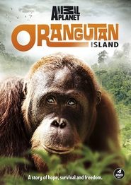 Orangutan Island Episode Rating Graph poster