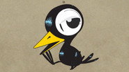 The Drinky Crow Show
