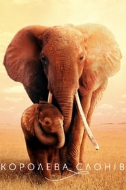 Королева слонів постер