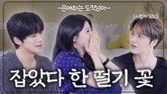 Episode 13