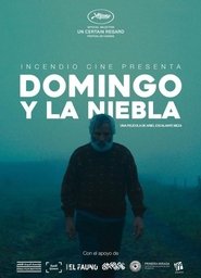 Domingo y la niebla (2023)