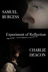 Experiment of Reflection
