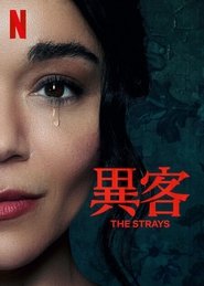 异客 (2023)