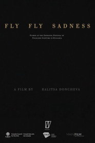 Fly Fly Sadness