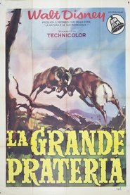 La grande prateria) La grande prateria (1954)