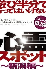 遊び半分で行ってはいけない心霊スポット ～新潟編～