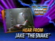 August 24, 1991 - Superstars of Wrestling 260