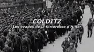 Colditz - Les évadés de la forteresse d'Hitler en streaming