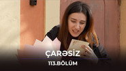 Episode 113