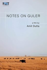 Notes on Guler постер