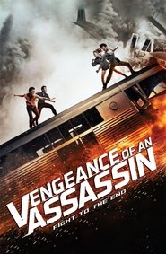 Poster Vengeance Of An Assassin