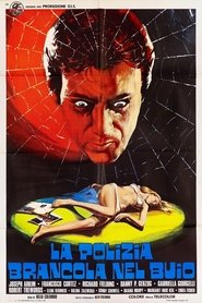 La polizia brancola nel buio (1975)