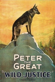 Wild Justice (1925)